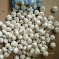 Fresh Pure White Garlic China Origin (5.0cm and up)